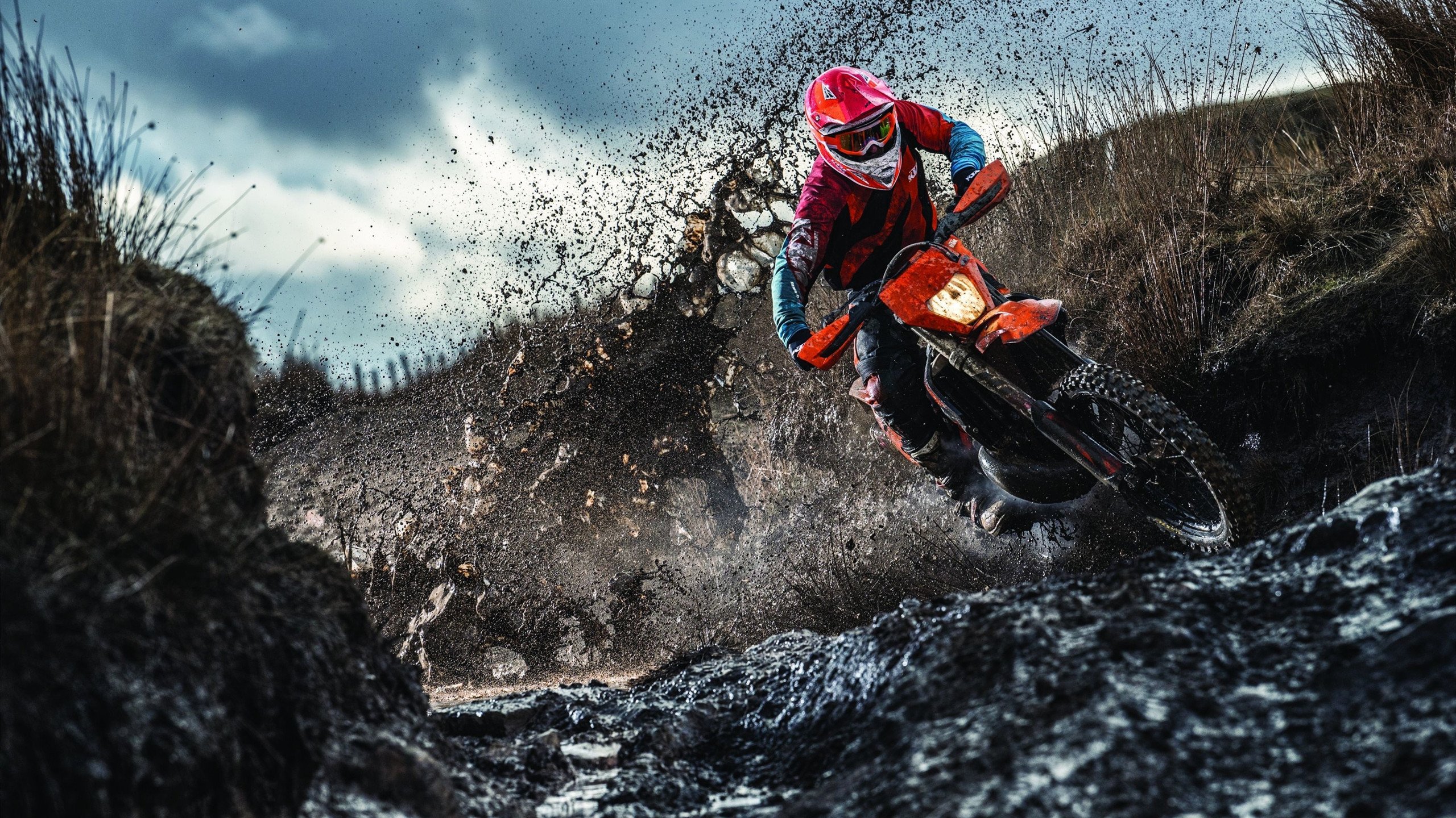 国内裁判培训体系改革全面提升执法专业水平,裁判培训计划