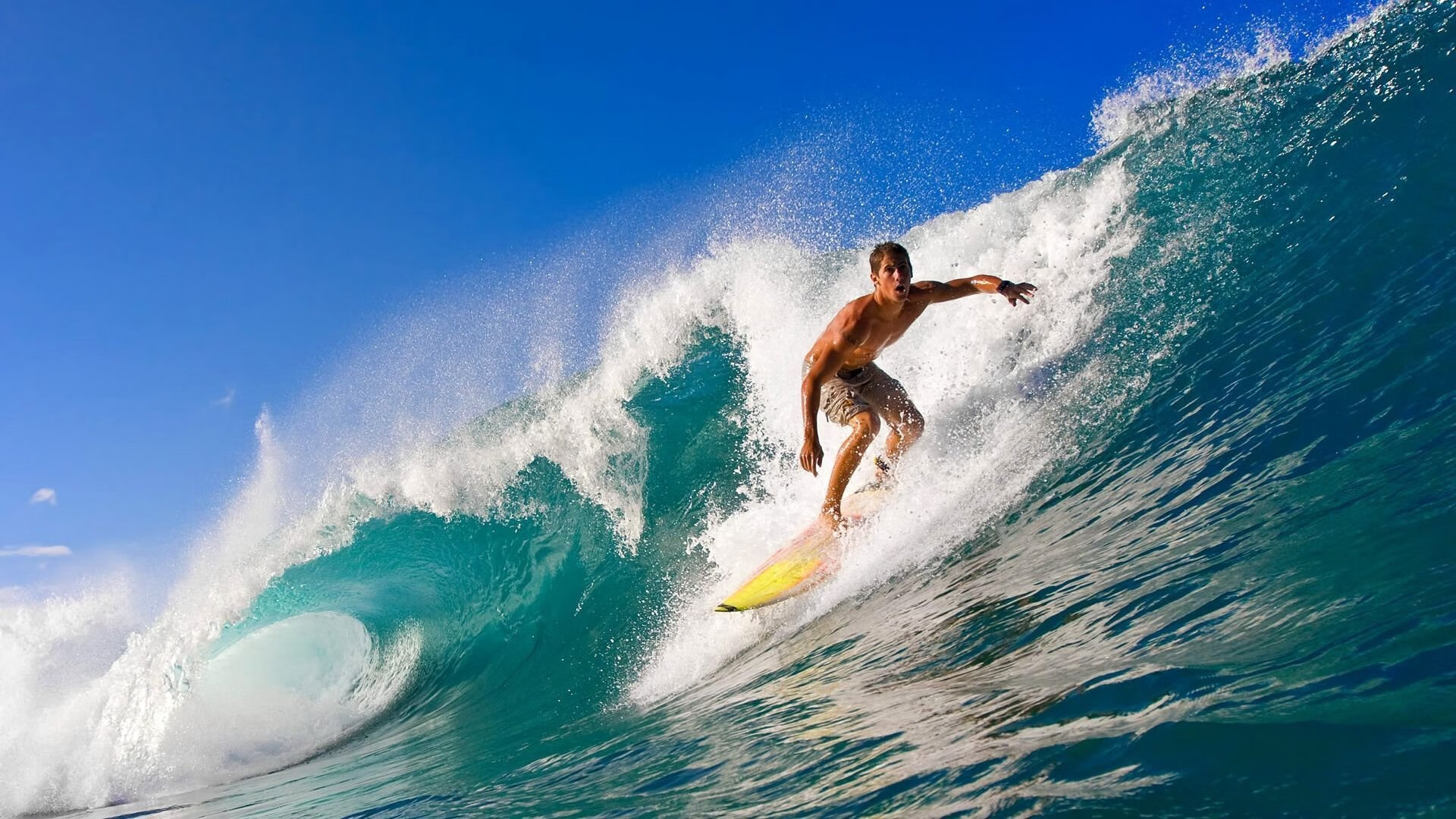 塔特的突破性表现，成为袋鼠队在橄榄球冠军锦标赛中的灵魂人物